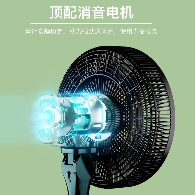 荣事达9叶电风扇落地大风量自动摇头风扇落地扇宿舍 黑色-遥控款