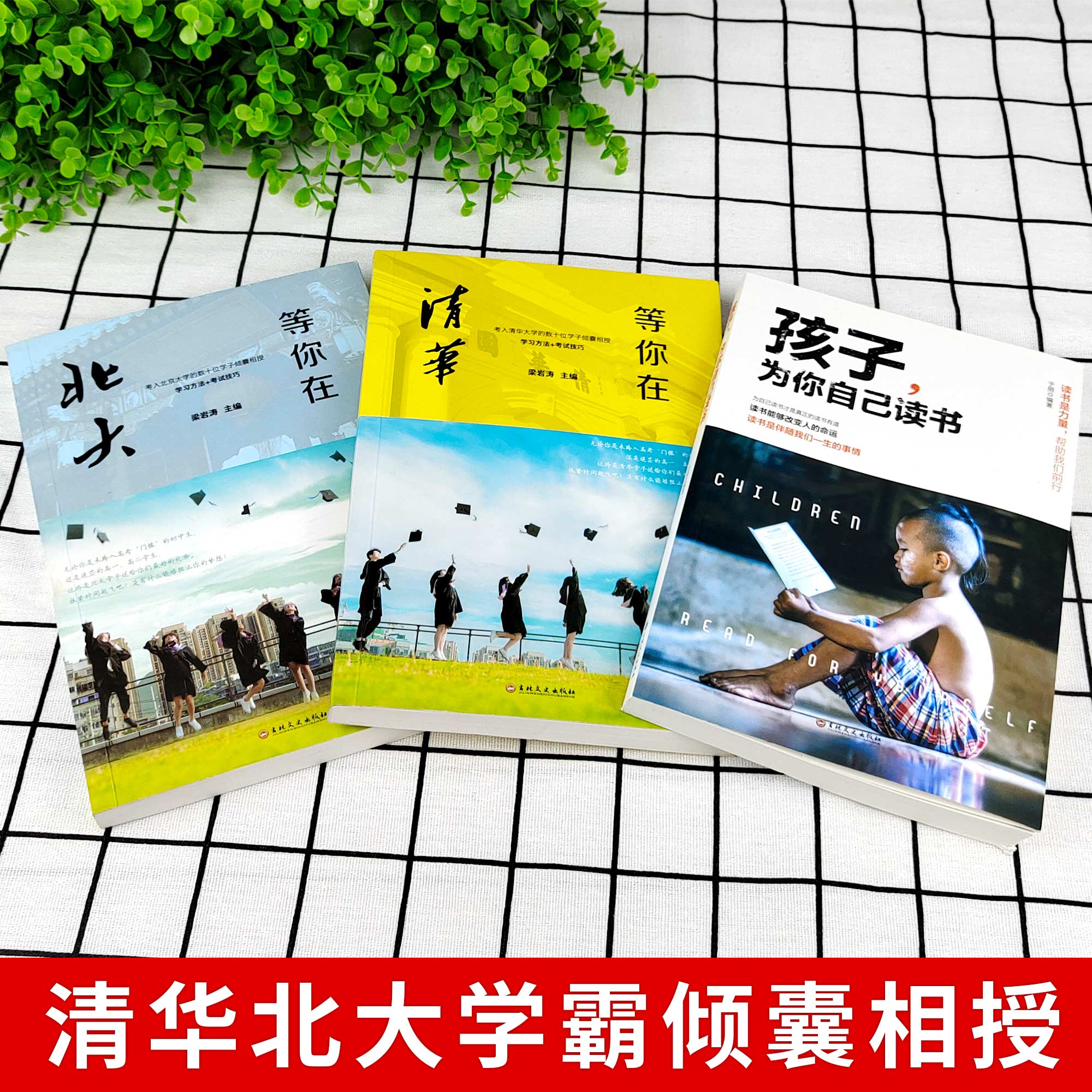 [推荐]学习记忆全套正版10册 [正版]全3册孩子,为你自己读书+等你在清华北大 学生高效学习方法孩子你是为自己读书高清大图