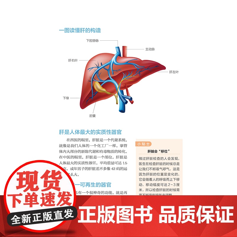 养好肝排毒畅人康健(精华升级版)中医专家李爱科分享养肝防病经验,教你疏肝气、养肝血、清肝火高清大图