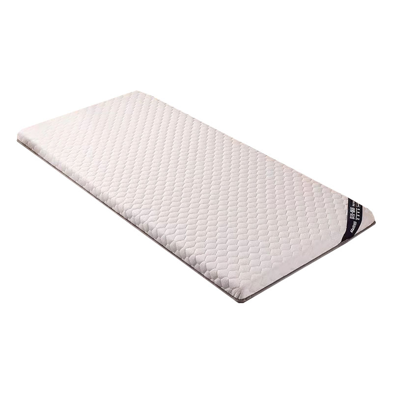 天瑞通邦 宿舍单人椰棕乳胶床垫 1000*2000mm 张