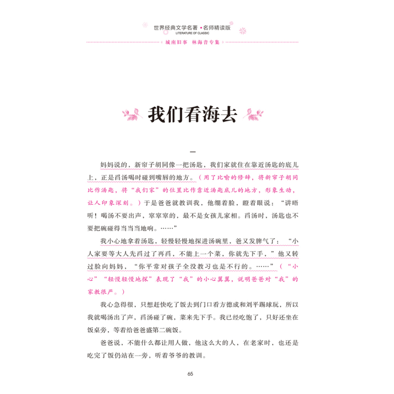 苦儿流浪记 [正版][4本24元]城南旧事窃读记 林海音五六年级四年级汕头大学出版社小学生课外阅读物名师精读版人教版课外