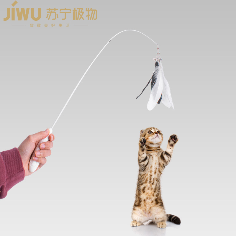 苏宁极物羽毛铃铛逗猫棒超长可弯曲伸缩橡胶柄逗猫棒逗猫玩具视频
