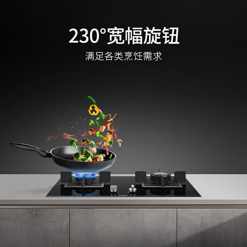 西门子ER8KJF23MP燃气灶天然气灶5.0kW大火力双灶灶具台嵌两用灶台 钢化玻璃面板猛火高效蒸饭柜高清大图