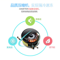 SAST 冷柜商用家用单温小冰柜卧式双门双温柜顶开门冷藏冷冻转换柜母乳冰箱BCD-142