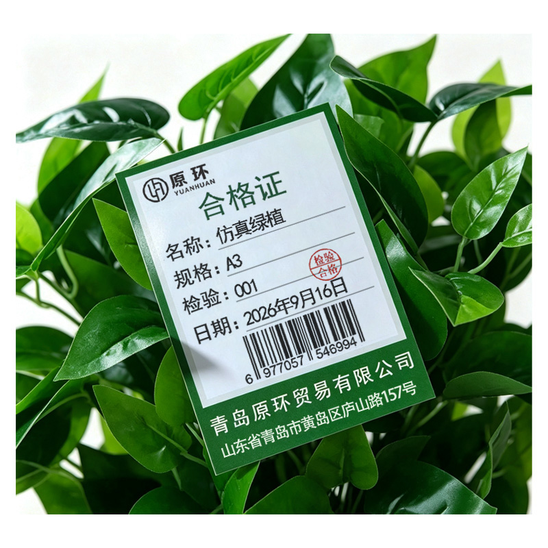 原环 仿真绿植 个 A3