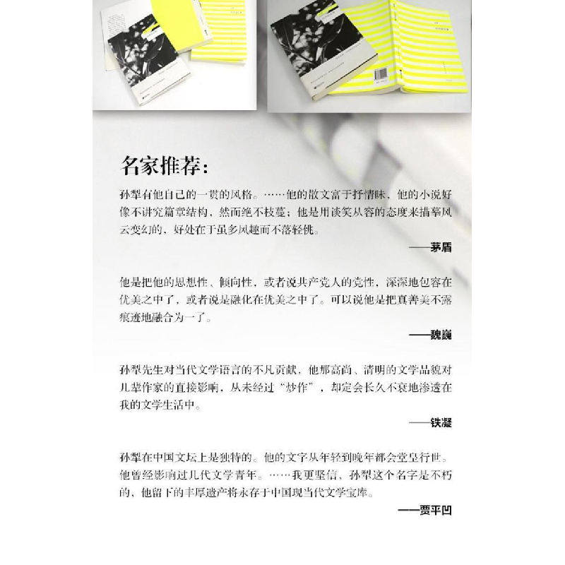 正版新书]白洋淀纪事孙犁 著 著9787539992112高清大图