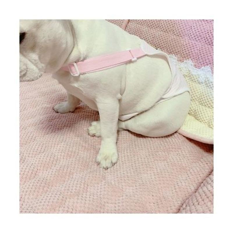浅黄色 S 适合1-14斤(背长21-26) 法斗生理裤八哥犬英斗专用狗狗生理裤月经例假宠物姨妈背带透气