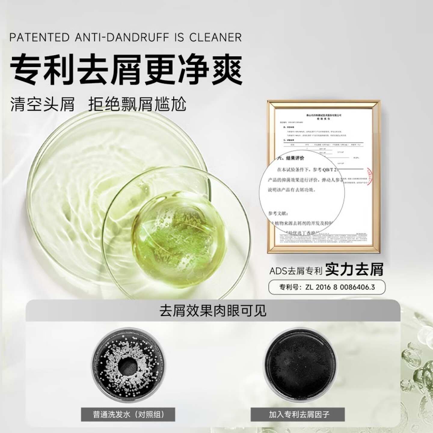弹动洗发水人参茶树纯露洗发水发膜控油防干枯蓬松持久香氛护发 人参洗发水420ml*1瓶+人参发膜260ml*1瓶高清大图