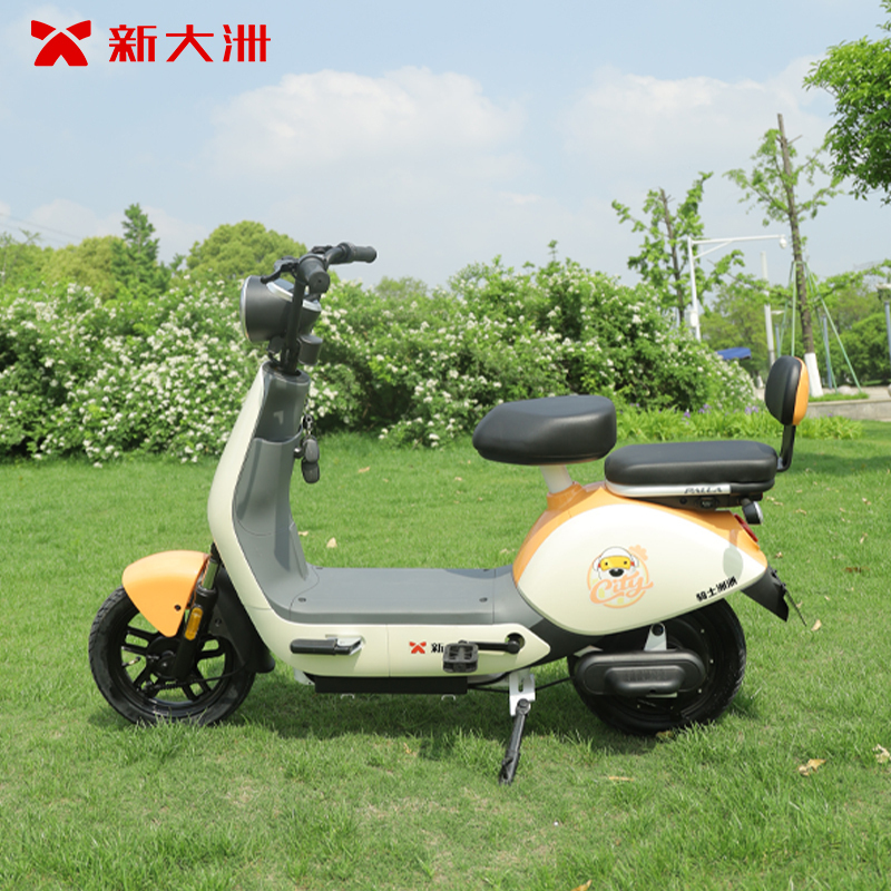 palla电动车报价_参数_图片_视频_怎么样_问答-苏宁易购