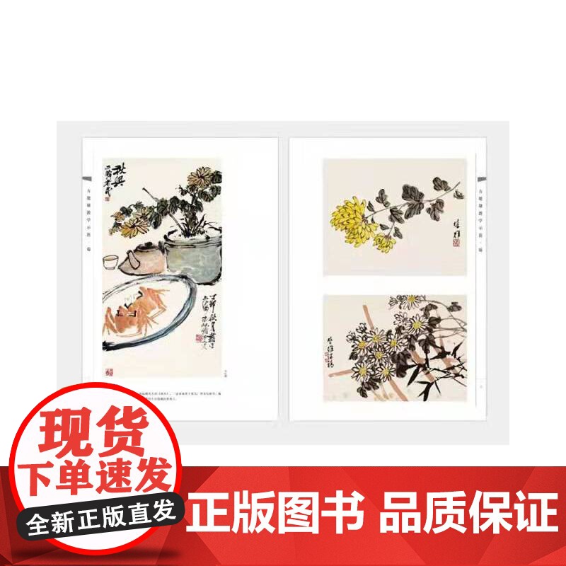 方楚雄教学示范.菊高清大图