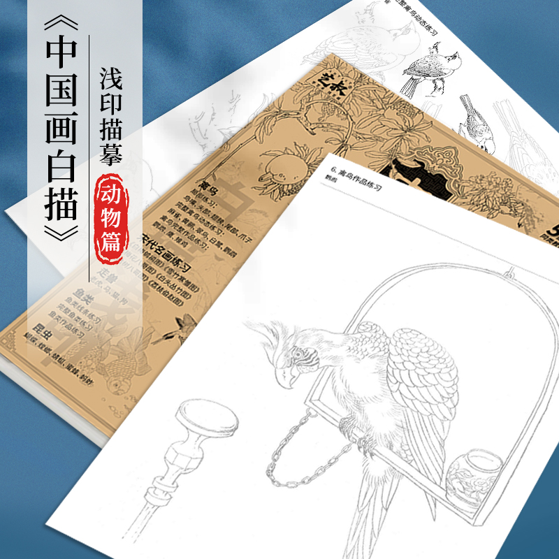 [正版]中国画白描 动物篇 禽鸟走兽昆虫鱼类 工笔画白描底稿 国画初学者入门教程 画画自学零基础 宋画 临摹画册 画集高清大图