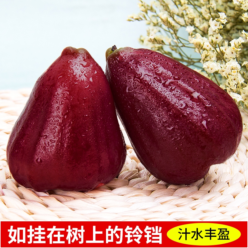 [西沛生鲜]海南黑金刚莲雾 热带水果 大果 净重4.5斤 单果80-120g 当季水果 现摘现发 清甜爽口高清大图