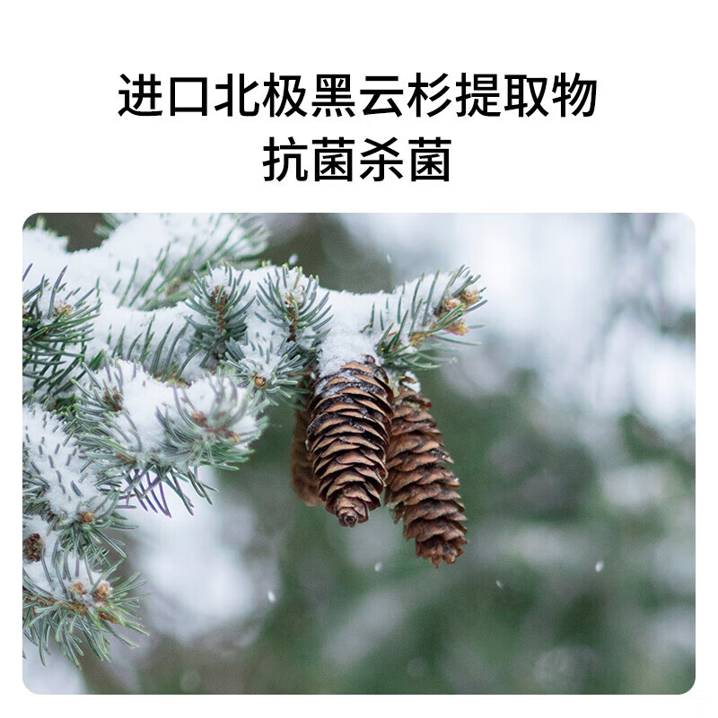 森林海洋香氛洗衣液 甜酒香草冰激凌香 1斤装 机洗手洗持久留香柔顺护衣高清大图