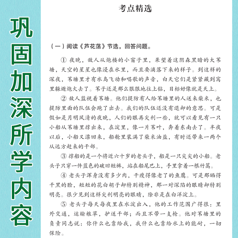 [正版]原著七年级 书 白洋淀纪事孙犁完整无删减书籍七年级八九年级初一初中生版课外阅读书籍北师大出版社的战争小说白洋淀