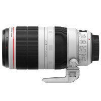 佳能(Canon) EF 100-400mm f/4.5-5.6L IS II USM全画幅单反相机镜头 远摄变焦镜头 77MM