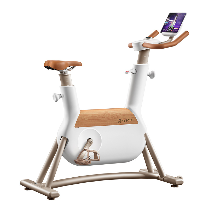 野小兽(YESOUL)小木马动感单车R6白色