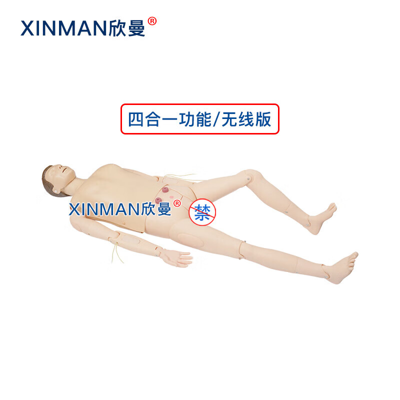 欣曼科教 高级综合急救护理训练模拟人AED模拟除颤CPR心肺复苏创伤护理包扎止血四合一功能无线版XM-ALS1101高清大图
