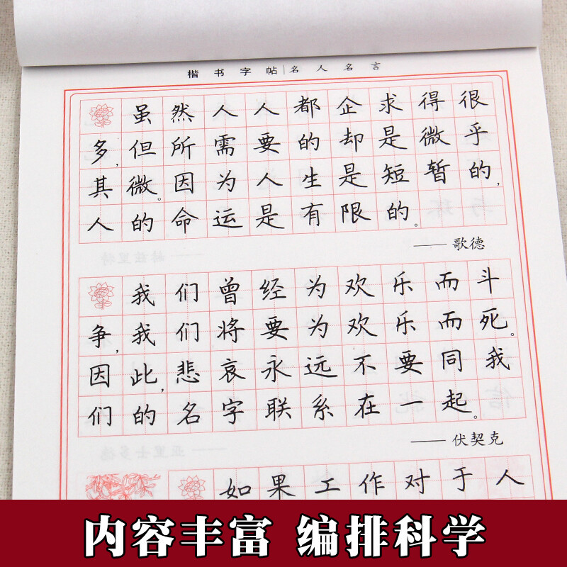 学生楷书实用字帖 名人名言 田英章楷书字帖 练字 大学生 中小学生