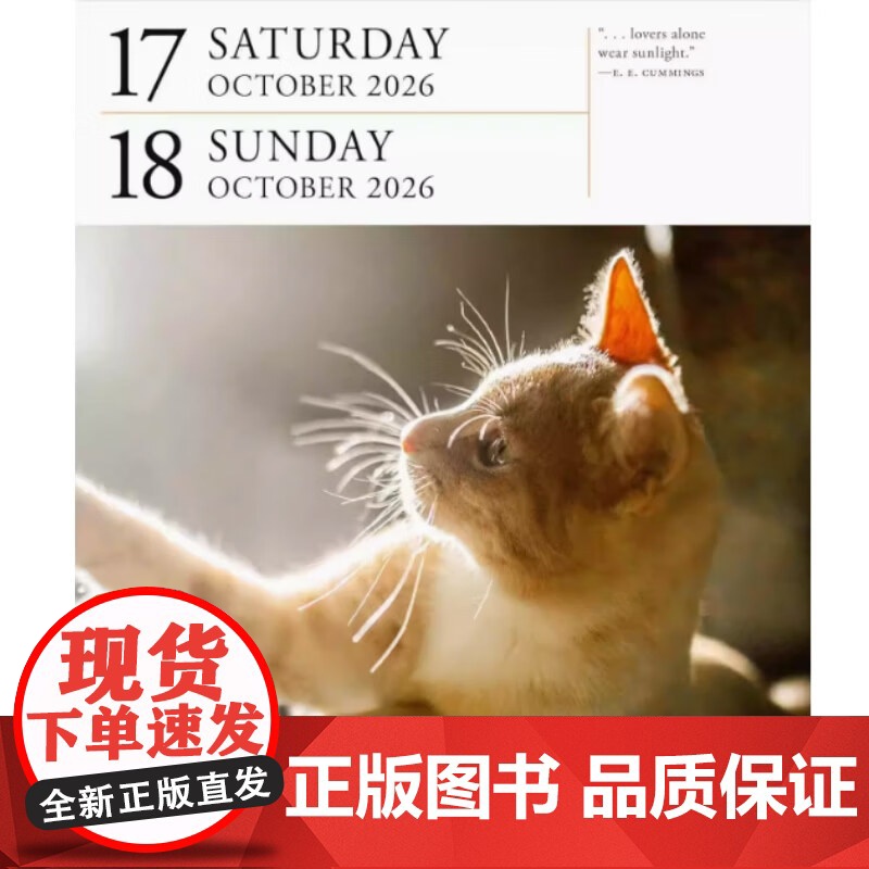 2026年画廊日历 猫咪 Workman Calendars 著 生活方式高清大图