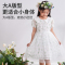 [1件3折]铅笔俱乐部2025年夏装新品女童连衣裙中大童娃娃领连身裙儿童裙子