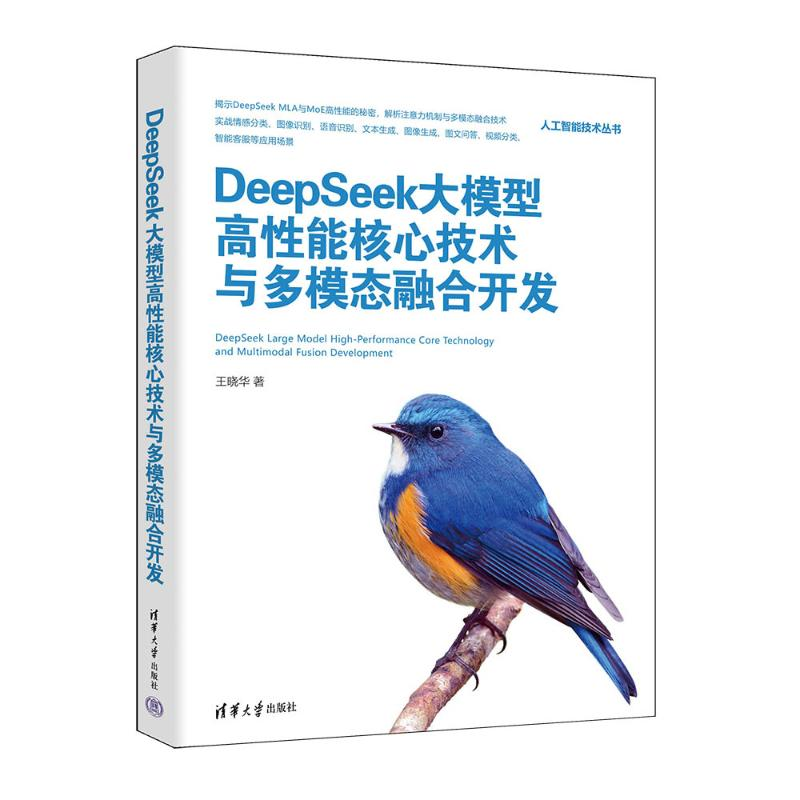 正版新书】DeepSeek大模型高性能核心技术与多模态融合开发王晓华