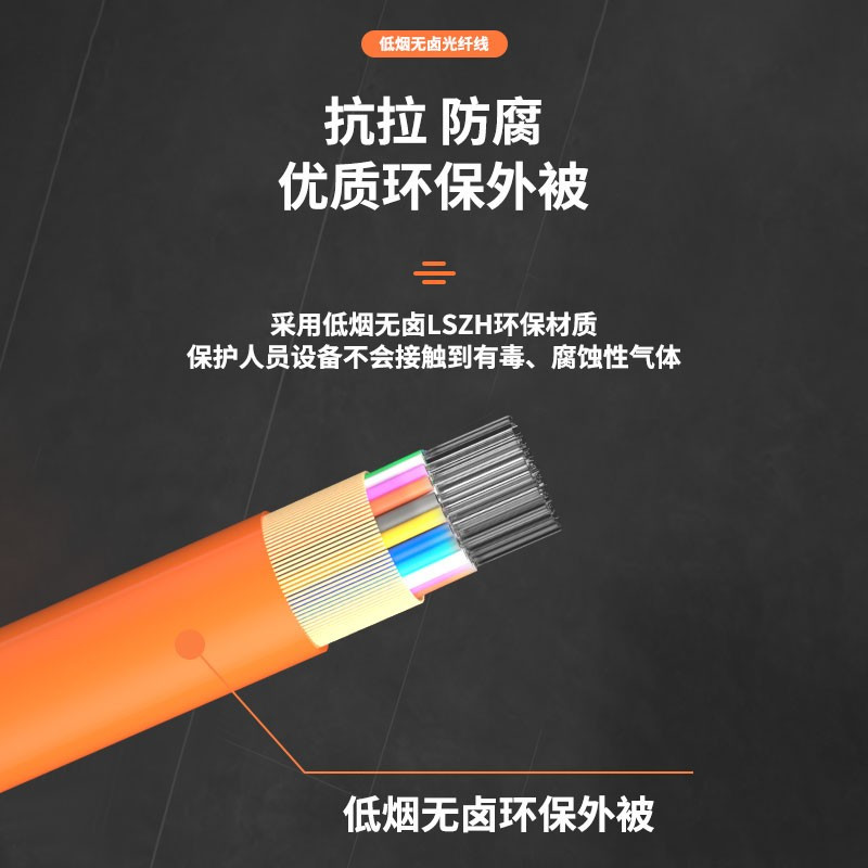 礼嘉/LIJIA LJ-GJFJV-C48 光缆 100 非屏蔽 低烟无卤 电线/电缆