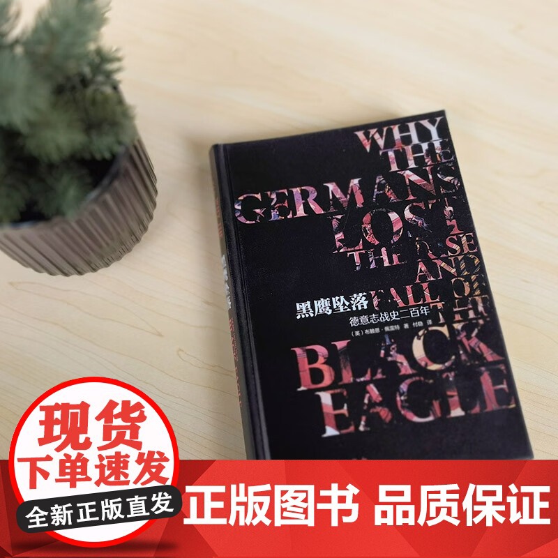 黑鹰坠落 德意志战史二百年 布赖恩·佩雷特 著 军事高清大图