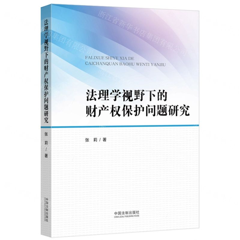 【N】法理学视野下的财产权保护问题研究-9787521627251