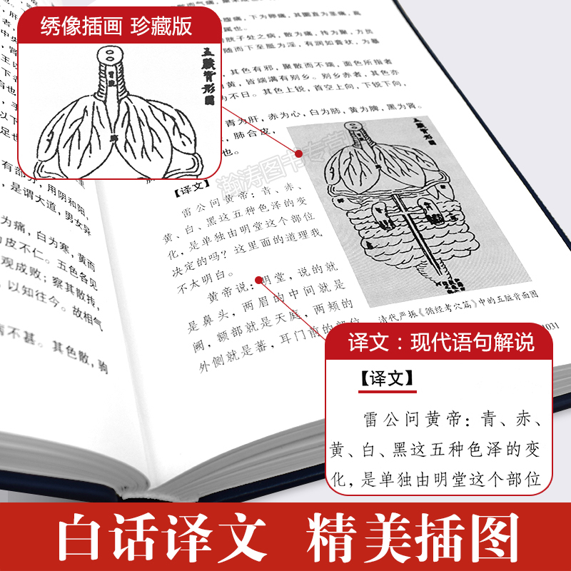 [正版]黄帝内经原版全集原著白话文版图解皇帝内经灵枢素问白话文版中医书籍大全基础理论中医学本草纲目千金方伤寒论神农本草