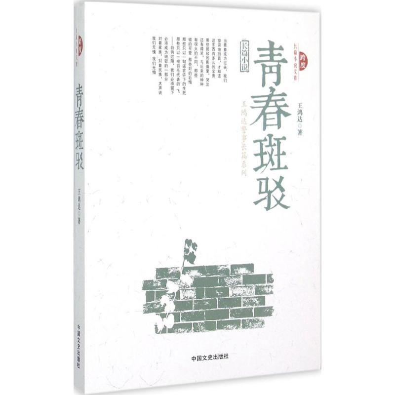 正版新书]青春斑驳王鸿达9787503462054高清大图