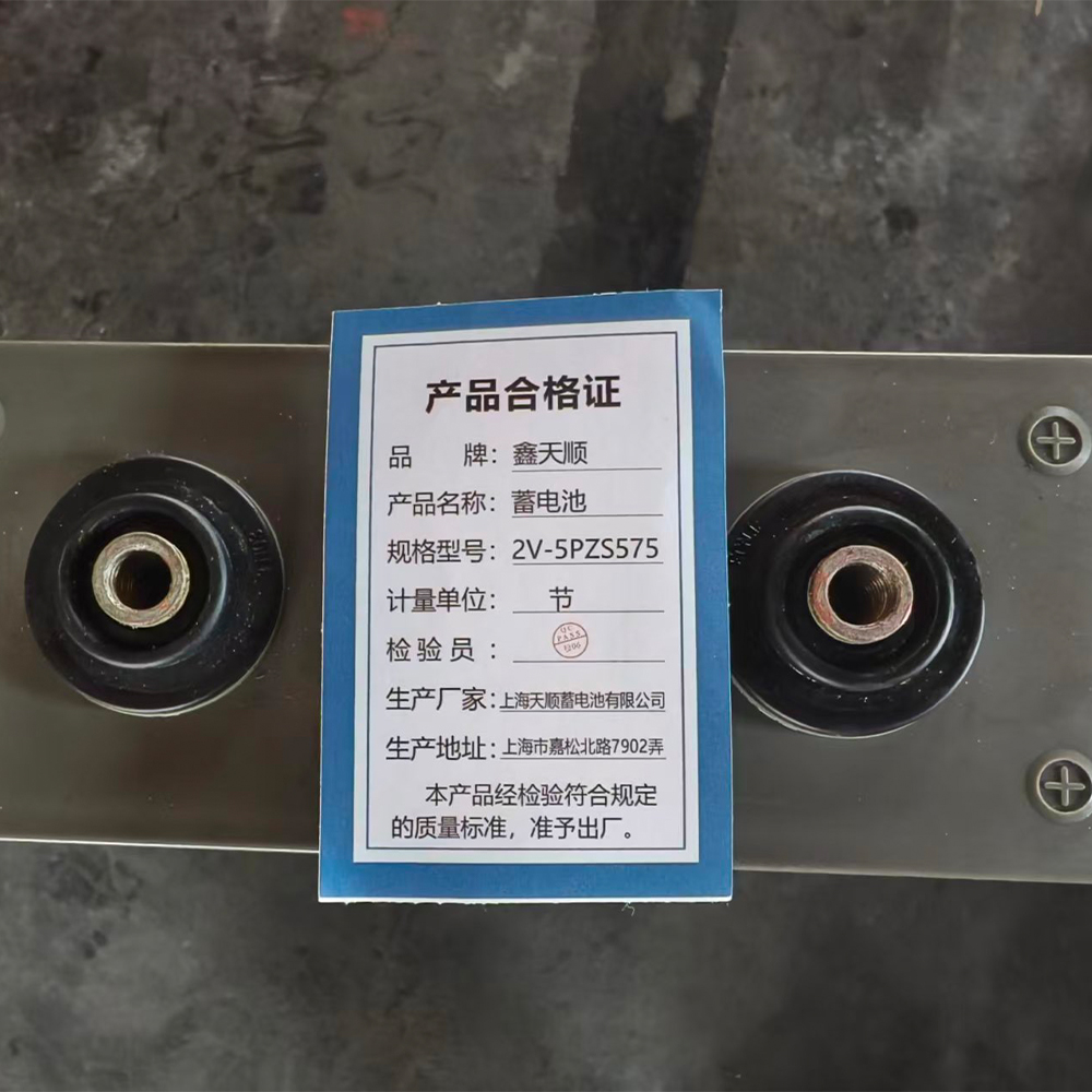 鑫天顺蓄电池 2V-5PZS575 节高清大图