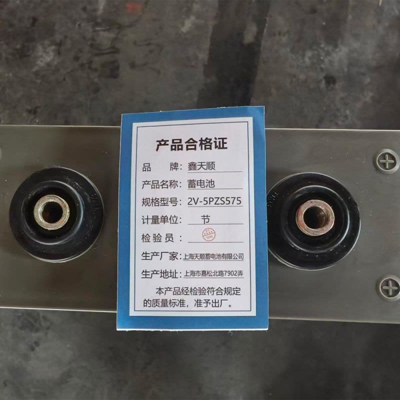 鑫天顺蓄电池 2V-5PZS575 节图片