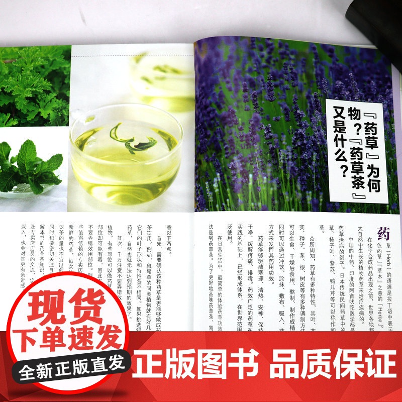 [3本49]药草茶图鉴 四季养生调理食疗古方中的茶疗方本草纲目药茶养生速查全书书籍高清大图