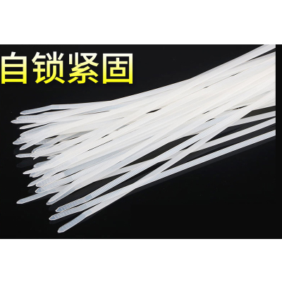 扎线带 耐高温尼龙扎带 足量 结实耐用