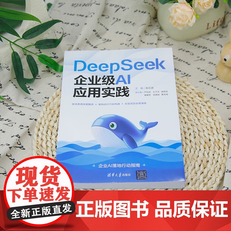 DeepSeek企业级AI应用实践 张云波等 著 计算机与互联网高清大图