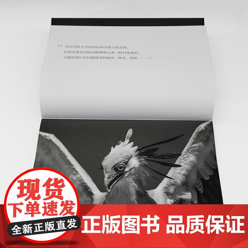 [央视网]第六次物种大灭绝它们即将消逝 9787568074308(法) 阿兰·埃尔努 (Alain Ernoult)高清大图