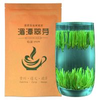 湄潭翠芽雀舌茶叶 新茶春茶高山云雾毛尖茶明前清香型绿茶 100克 袋装