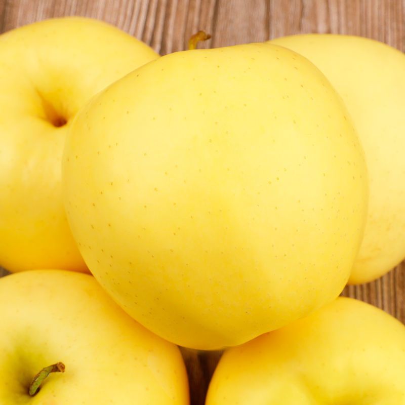 湛航黄元帅苹果黄金帅黄香蕉粉苹果面平果水果新鲜装金冠整箱