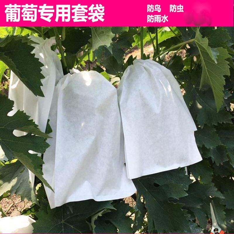 袋露天莲雾葡萄套袋果袋专用套袋防虫防鸟防水套葡萄用纸袋育果保鲜袋