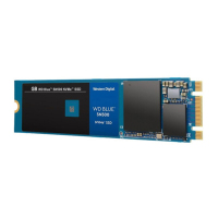 西部数据 WD250G M.2 蓝盘NVME Blue SN550系列250GB M.2接口(NVMe协议)SSD固态硬盘