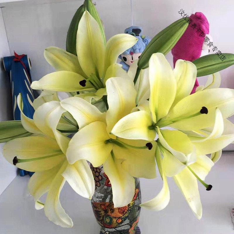 世界鲜花直播间鲜切花水养花洋牡丹香雪兰玫瑰百合雏菊向日葵