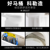 科勒KOHLER瑞雅五级旋风连体座便器 一体全包式马桶 节水裙包型 K-19111T/19112T智能盖板4107套装