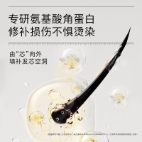 黛丝恩 致美夜间修护护发素 450ml