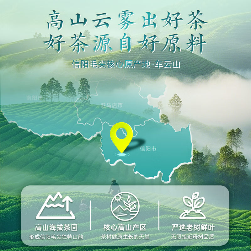 茶馬世家 特级信阳毛尖山河志礼盒装 200g(单位:盒)高清大图