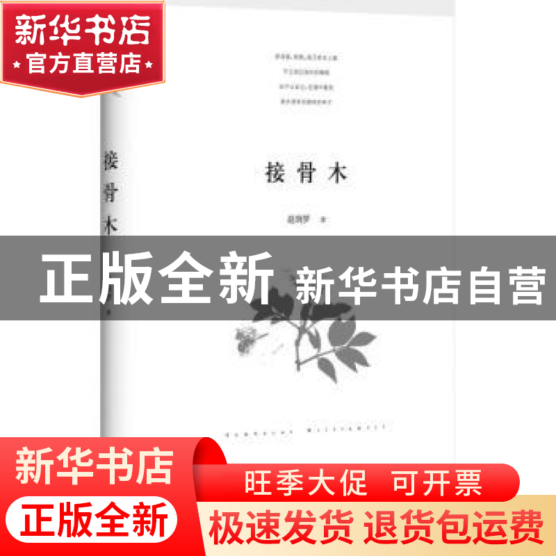 正版 接骨木 赵晓梦 著 四川文艺出版社 9787541145230 书籍