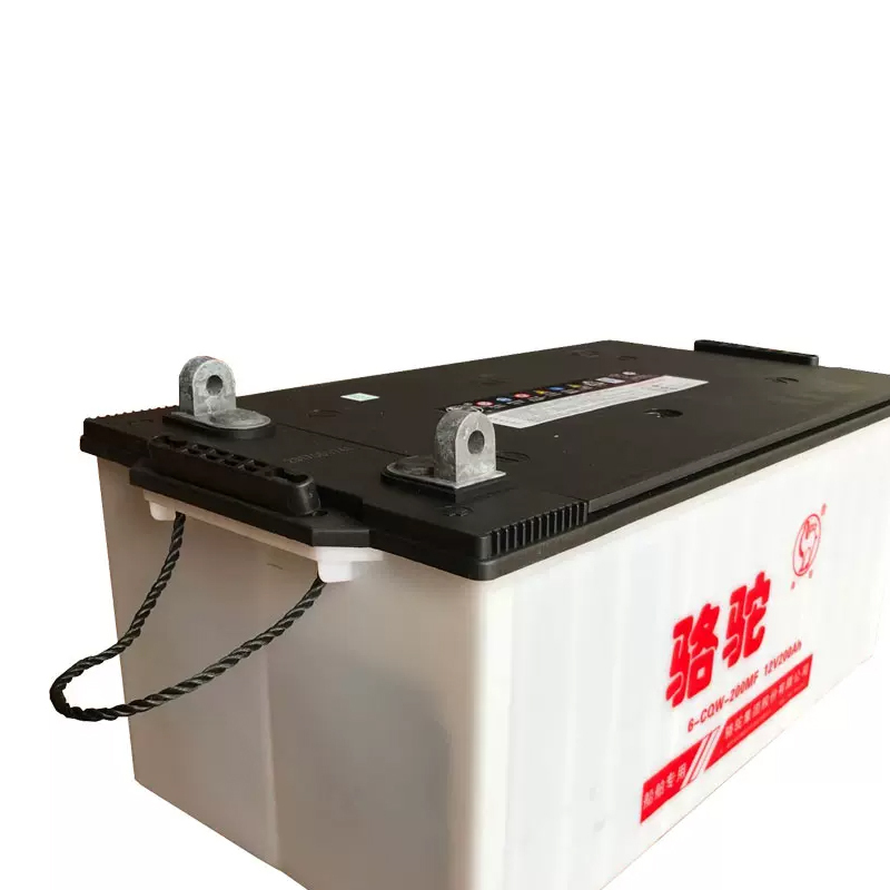 骆驼6-cQw-200AH蓄电池