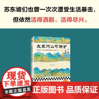 大宋河山可骑驴 王这么 著 传记