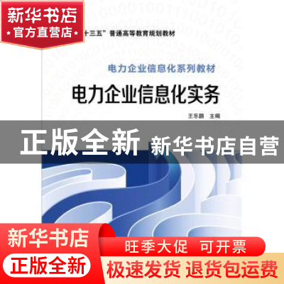正版 电力企业信息化实务 王乐鹏主编 中国电力出版社 9787512385