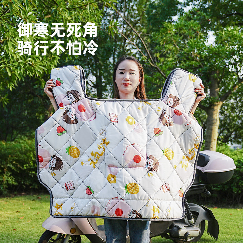 华普思艺挡风被HPSY-1-0004 四季薄款(甜蜜少女)高清大图