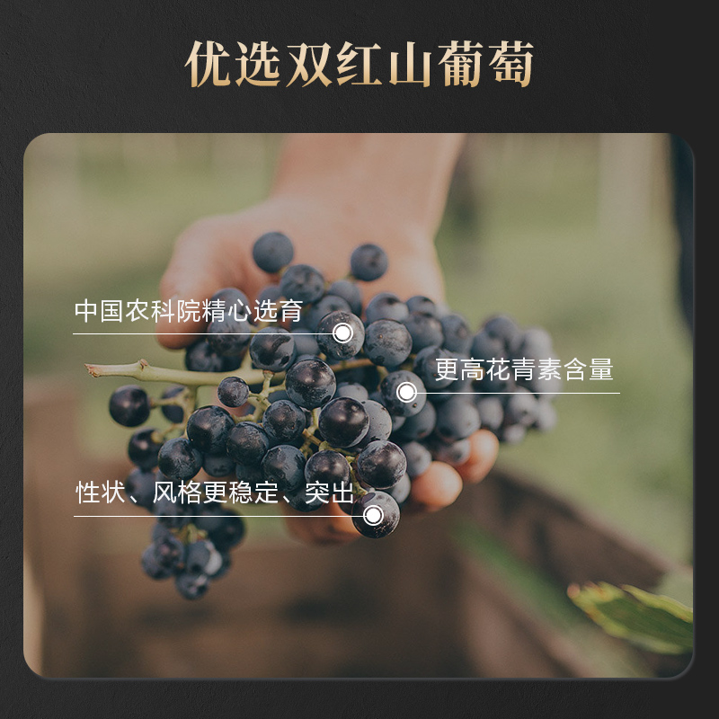 通化五星寒地晚收山葡萄酒13.5%vol 740ml单瓶装高清大图